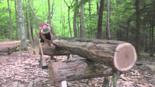 hewing a white oak 6quotx6quot [upl. by Neilson]