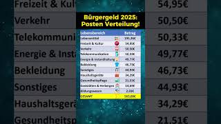 Bürgergeld Höhe nach Posten in 2025 [upl. by Leotie851]