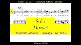 Mozart  KV165 3 Exsultate Jubilate  Alleluja  Solo [upl. by Yrohcaz]