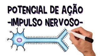 Sistema nervoso Potencial de ação  Impulso Nervoso  Despolarização  Repolarização  Refratário [upl. by Nyre]