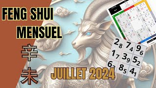 FENG SHUI 2024 Juillet  énergies du MOIS étoiles volante 3 victoires etc [upl. by Rosse]