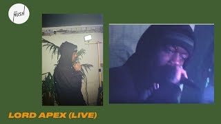 Lord Apex live  Keep Hush Live Kallida Festival [upl. by Ryter521]