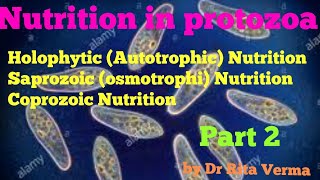 Holophytic AutotrophicSaprozoic osmotrophi Coprozoic Nutrition in protozoa part 2 for BSc 1st year [upl. by Ardnnek]