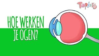 HOE WERKEN JE OGEN  TOPDOKS ANIMATIE [upl. by Charin]