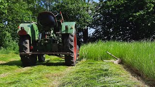 Grasmaaien 2021 met Fendt F15 Dieselross met Busatis maaibalk  hay mowing  hay making  gras mähen [upl. by Sarad989]