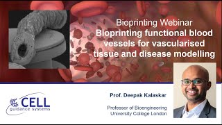 Bioprinting functional blood vessels for vascularised tissue and disease modelling [upl. by Jeremy67]