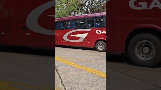 Gardenia 3470 automobile busologo busologo busologia viagem ônibus onibus rodoviaria bus [upl. by Zilla]