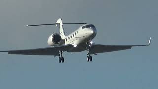 GULFSTREAM G500 9HNATE LANDING AT FARNBOROUGHEGLF FROM GENEVA 12112024 [upl. by Shipley]