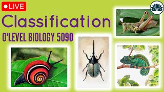 LIVE Classification Quick Revise  OL Biology 5090 [upl. by Ycat]