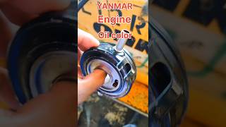 Yanmar engine 4TNV88BDMSR1 oil color shorts engine mechanic mechancial [upl. by Zusman398]