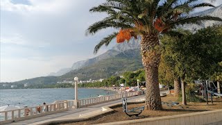 Tučepi Croatia Makarska Riviera June 2024 🍹🌴🌲😎 [upl. by Lindner]