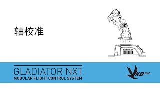 VKB Sim Gladiator NXT  轴校准  OUTDATED [upl. by Spring]