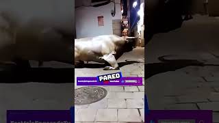 🏃‍♂️🏃‍♂️🇪🇸🆚🐂 Españoles vs Toros EseMajeEngasado LaCarpetaDeLosVRGzos youtube Shorts [upl. by Yup587]