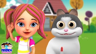 म्याऊं म्याऊं बिल्ली करती Billi Wala Cartoon Nursery Rhymes amp Kids Song for Babies [upl. by Hoffman437]