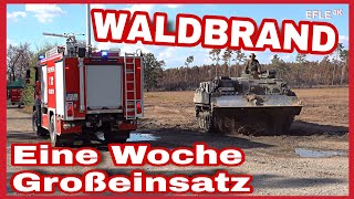 Riesiger Waldbrand bei FalkenbergElster und Arzberg nach einer Woche endlich gelöscht [upl. by Acitel920]