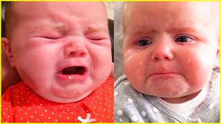 Cute and Funny Babies Crying Moments  Funniest Baby Videos [upl. by Yngad401]