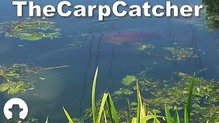 River Cam Carp Quest 2011 Part 2  Carp Fishing [upl. by Manny106]