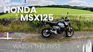 Honda MSX125 Is it any good [upl. by Damal]