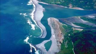 Littoral Zone Coastal and Freshwater [upl. by Isied]