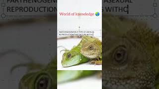 ParthenogenesisWorld of knowledge 🌏com [upl. by Anilatac]