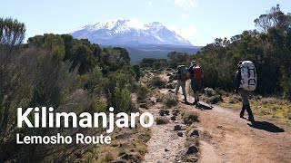 Kilimanjaro  Lemosho Route  2024 [upl. by Aubarta820]