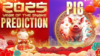 2025 Chinese Zodiac Pig Horoscope Prediction 2025Prediction [upl. by Celestyn]