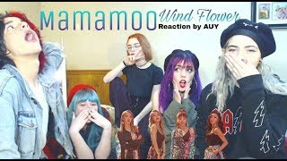 Mamamoo quotWind Flowerquot MV Reaction With AUY IMPORTANT UPDATES AT THE END [upl. by Gussman]