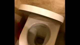 Update read description New Duravit soft close toilet seat cover makes squeaky noise [upl. by Einhpets]