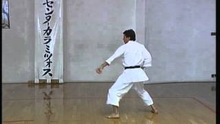 Enpi  Efthimios Karamitsos  Karate  Kata  Shotokan [upl. by Sana]