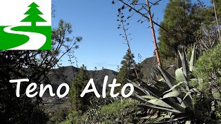 Wandern auf Teneriffa  Teno Alto und Cumbre de Baracan [upl. by Rosy]