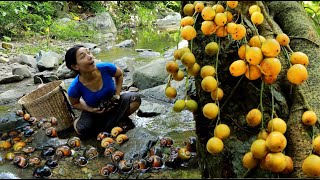 Pick snail and Natural fruit at river Boiled snail with chili sauce eating delicious [upl. by Ellemac]