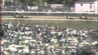 1972 Kentucky Derby [upl. by Orran]