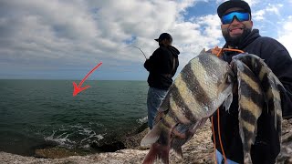 Jetty Fishing for Sheepshead EZ LIMIT Port Aransas JettiesCatch and Cook [upl. by Nosduh]