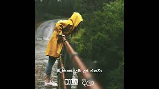 Niyare Piyanagala \ Sinhala Song amp Lyrics [upl. by Ayetal]