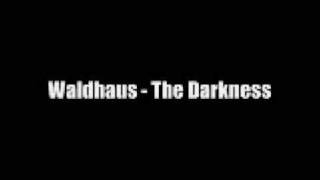 Waldhaus  The Darkness [upl. by Ramsdell663]