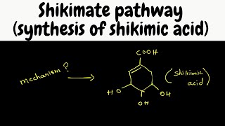 Biosynthesis part 6  shikimic acid synthesis [upl. by Yrotciv]