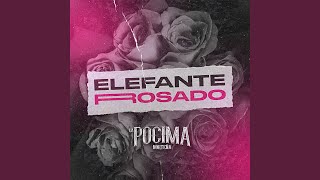 Elefante Rosado [upl. by Nolrak]