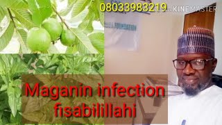 Maganin infection fisabilillahi [upl. by Heti]