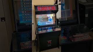 Arcade Machine I built for my wife [upl. by Nerhtak762]