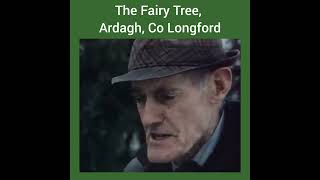 The Fairy Tree Ardagh Co Longford Co Longford [upl. by Nordine567]