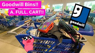 Let’s GO To Goodwill Bins I Was STRUGGLING But I Still Filled A Cart Thrift With Me For EBay [upl. by Lovich886]