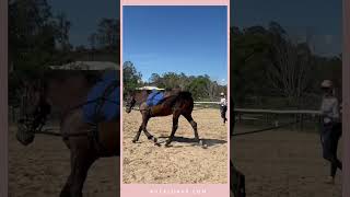 Lunging Demonstration  With amp Without The Kula Lunge [upl. by Kcirtapnaes981]