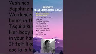 Shawn Mendes Camila Cabello  Señorita Lyrics shorts [upl. by Teillo]