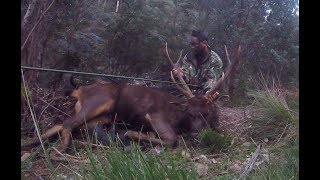 MountainMans Gear  Sambar Backpack Hunting Vic High Country August 2018 [upl. by Nivalc928]