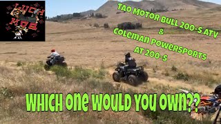 Tao Motor Bull 200S amp Coleman PowerSports AT 200B Atvs  Are they Worth it [upl. by Natsirt]