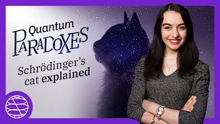 Schrödingers Cat Explained with Quantum Computing  Paradoxes Ep 01 [upl. by Nylear]