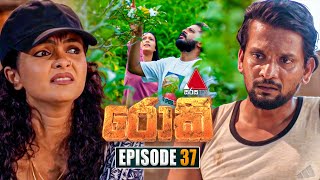 Rocky රොකී  Episode 37  01st October 2024  Sirasa TV [upl. by Akima]