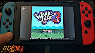 Wario Land 3  Is Wario Land 3 a Metroidvania  Nintendo Switch handheld gameplay [upl. by Kaliski656]