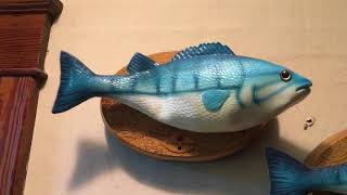 Rare Gemmy Custom Frankie fish [upl. by Adnohsal]