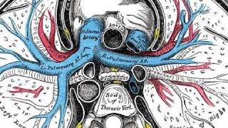 Salbutamol and Asthma  Periodic Table of Videos [upl. by Aisinoid]